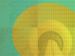 科普文章：知识产权与开源社区的共生关系